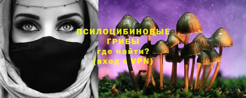 Галлюциногенные грибы MAGIC MUSHROOMS  Касимов 